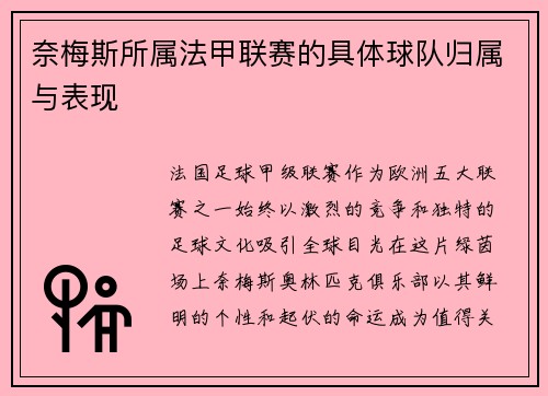 奈梅斯所属法甲联赛的具体球队归属与表现